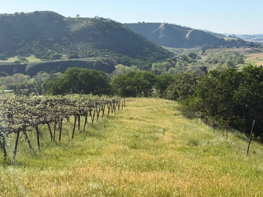 Airline Highway Tres Pinos, CA 95075