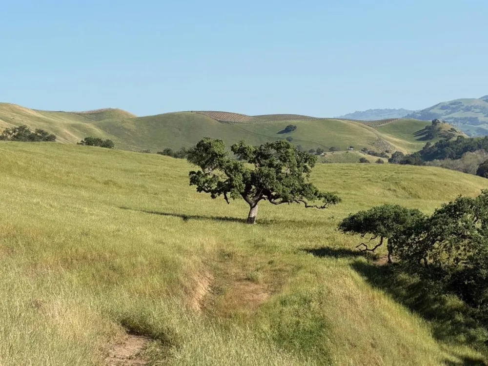 Airline Highway Tres Pinos, CA 95075
