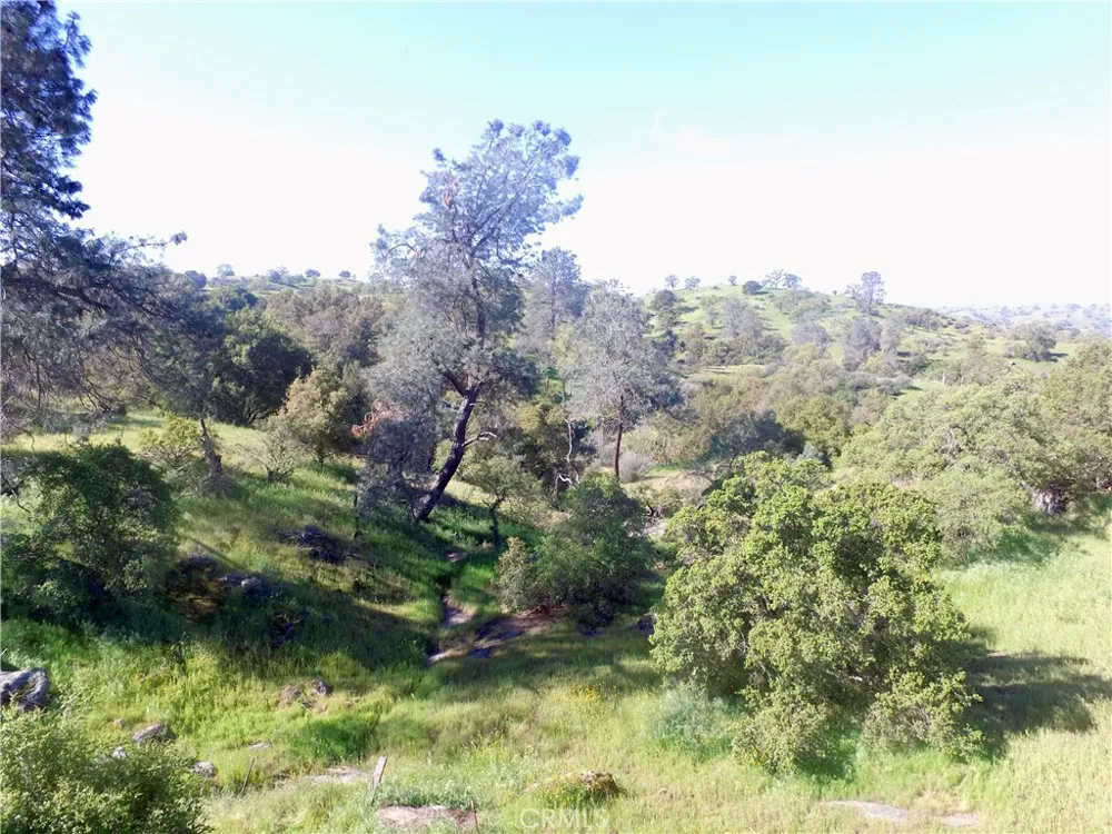 11.81 AC Road 400 Madera, CA 93636
