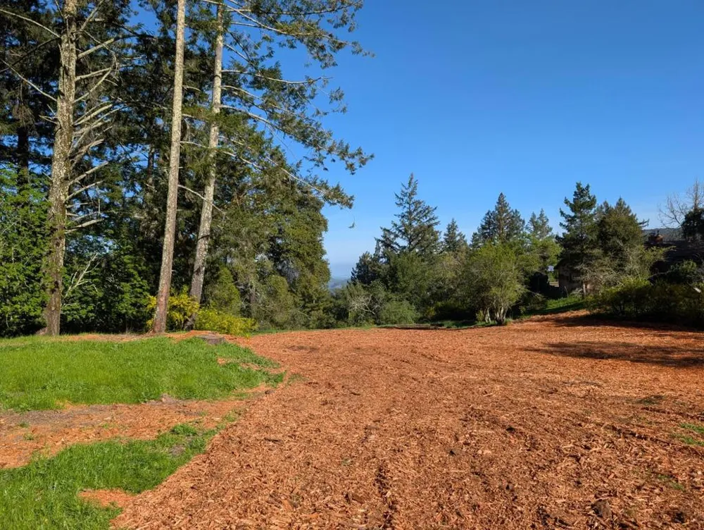 22065 Old Santa Cruz Highway Los Gatos, CA 95033