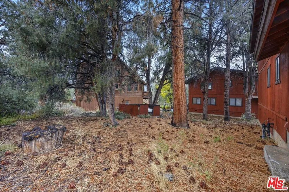 2317 Maplewood Way Pine Mountain Club, CA 93222