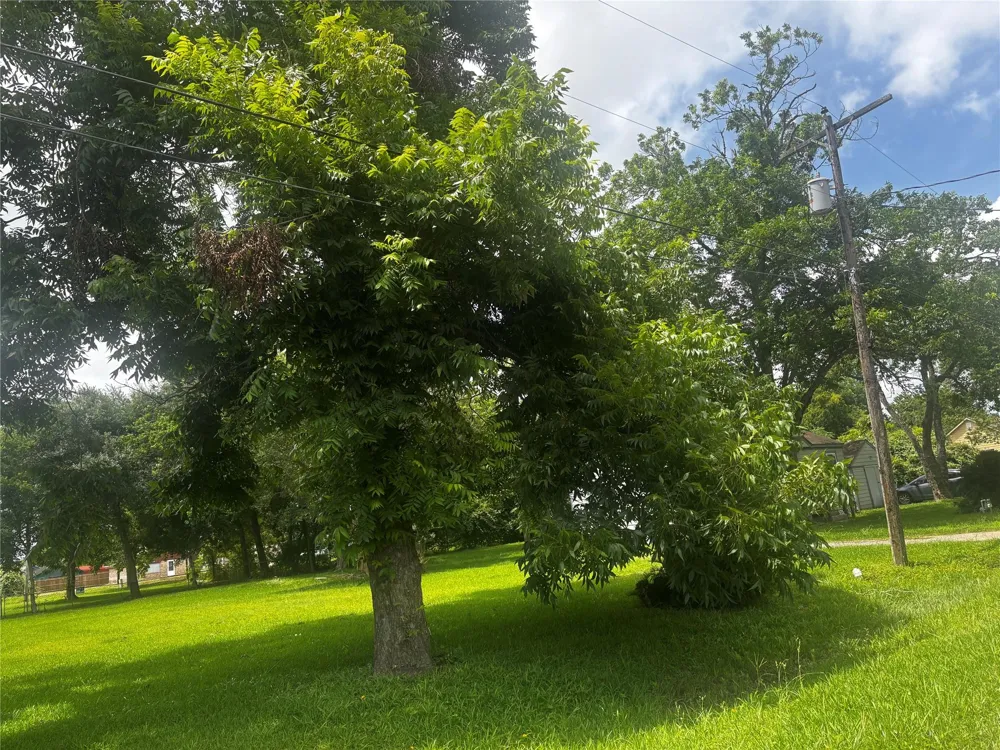 908 Chestnut Street La Marque, TX 77568