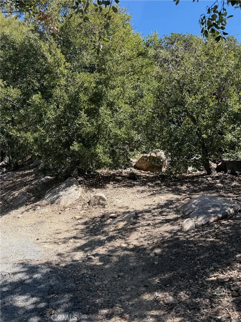 Grasshorn Terrace Lake Arrowhead, CA 92352