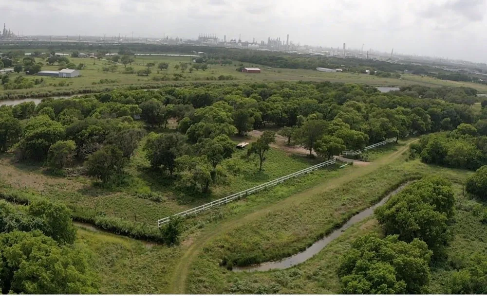 2225 Johnson Drive Oyster Creek, TX 77541