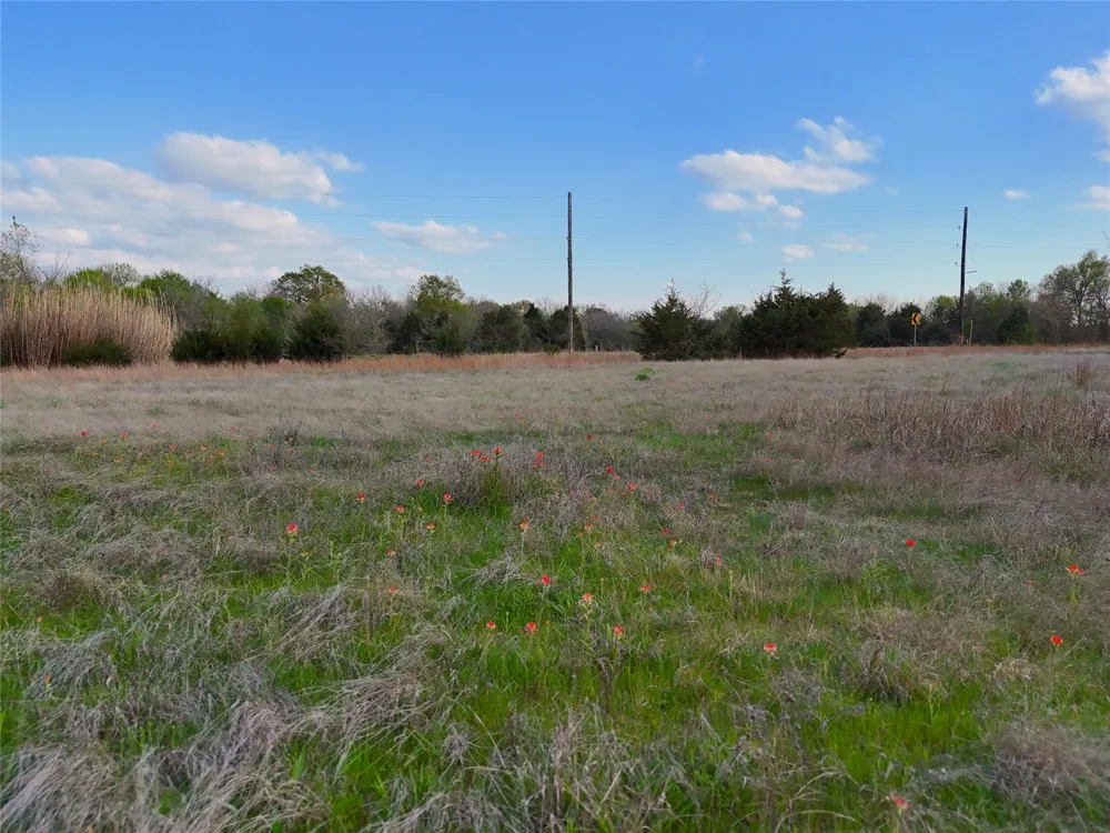 25 FM 2194 Celeste, TX 75423