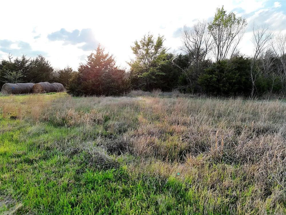 25 FM 2194 Celeste, TX 75423