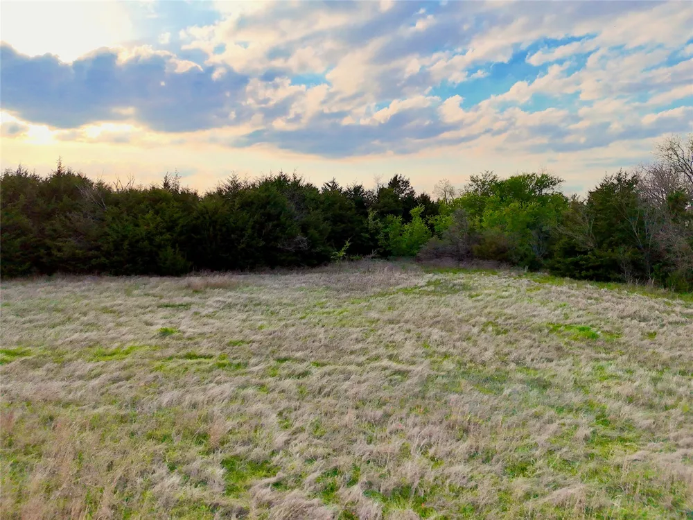 25 FM 2194 Celeste, TX 75423