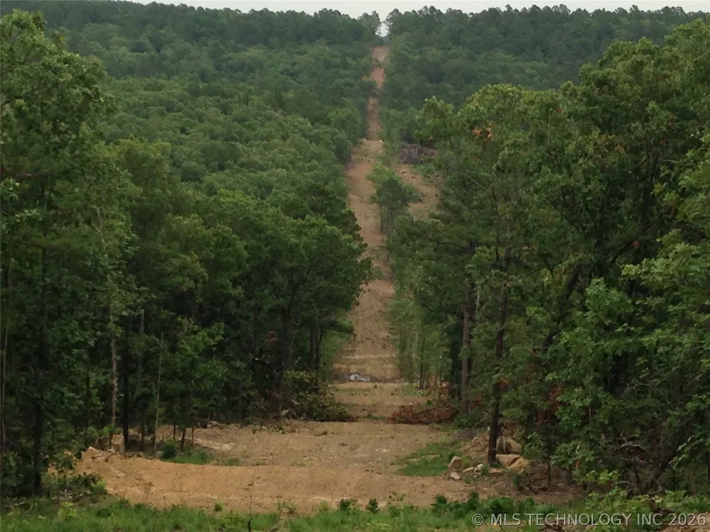 Miller Jumbo Road Moyers, OK 74557