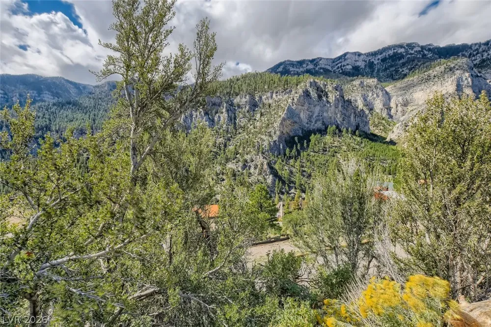 4947 Snow White Road Mount Charleston, NV 89124