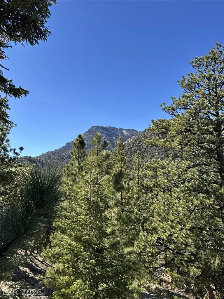 5265 Whispering Deer Drive Mount Charleston, NV 89124