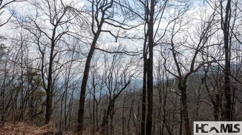 LOT 1 King Gap Road
