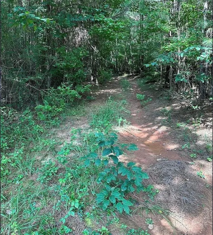 831 Holbrook Road Newnan, GA 30263