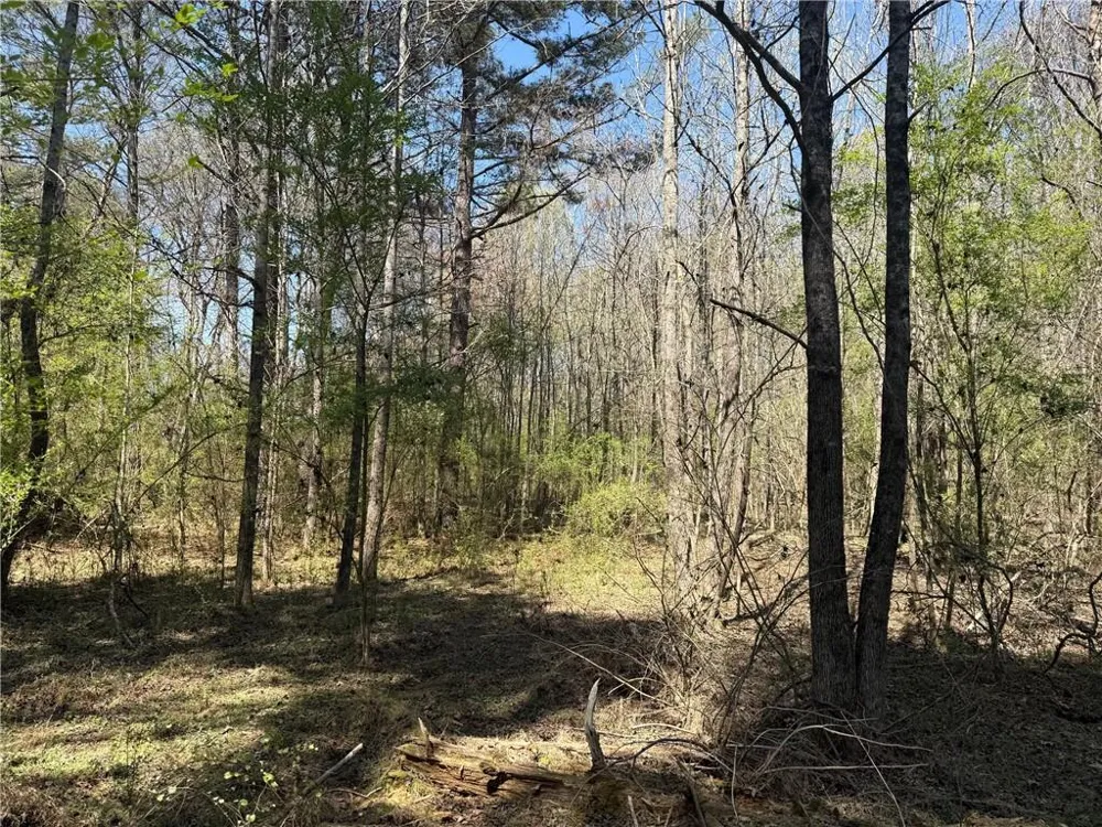 78 Mullinax Road Taylorsville, GA 30178