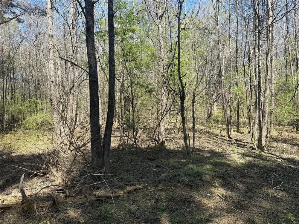 78 Mullinax Road Taylorsville, GA 30178