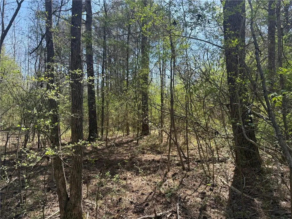 78 Mullinax Road Taylorsville, GA 30178