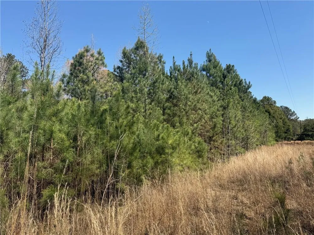 78 Mullinax Road Taylorsville, GA 30178