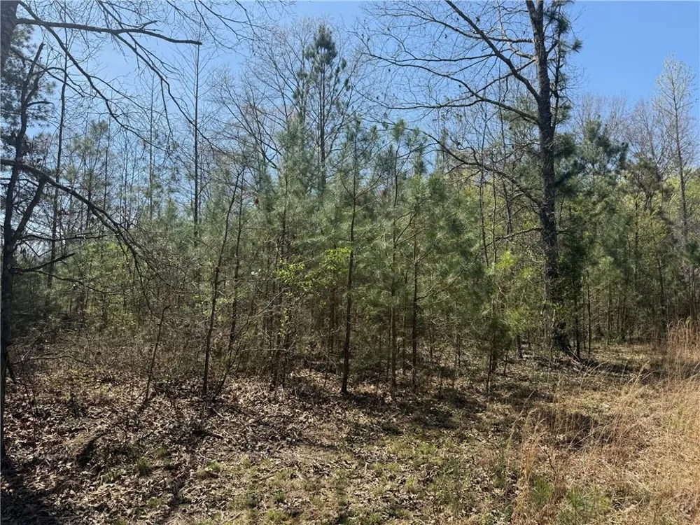 78 Mullinax Road Taylorsville, GA 30178