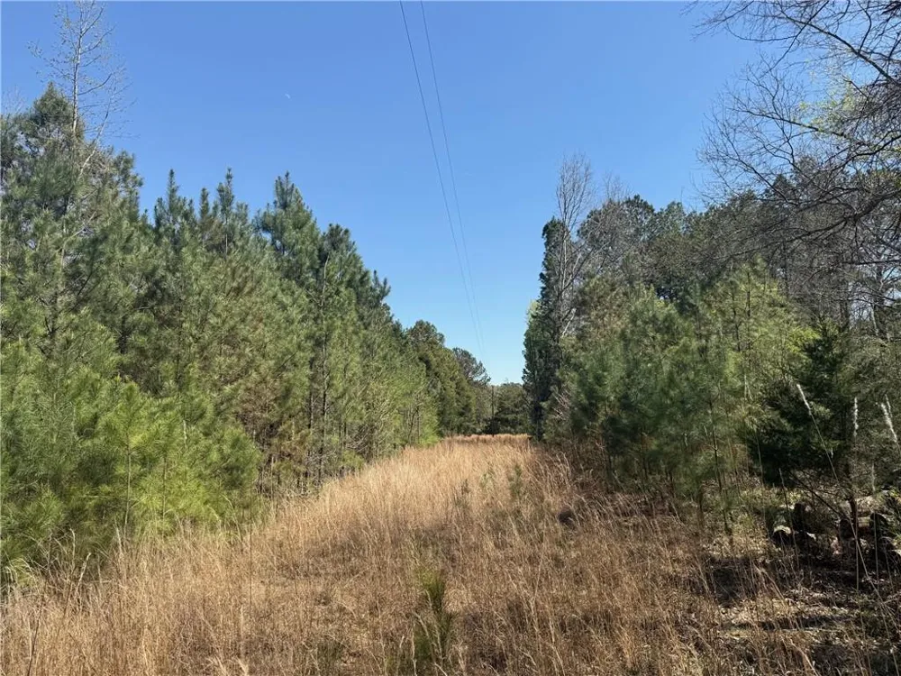 78 Mullinax Road Taylorsville, GA 30178