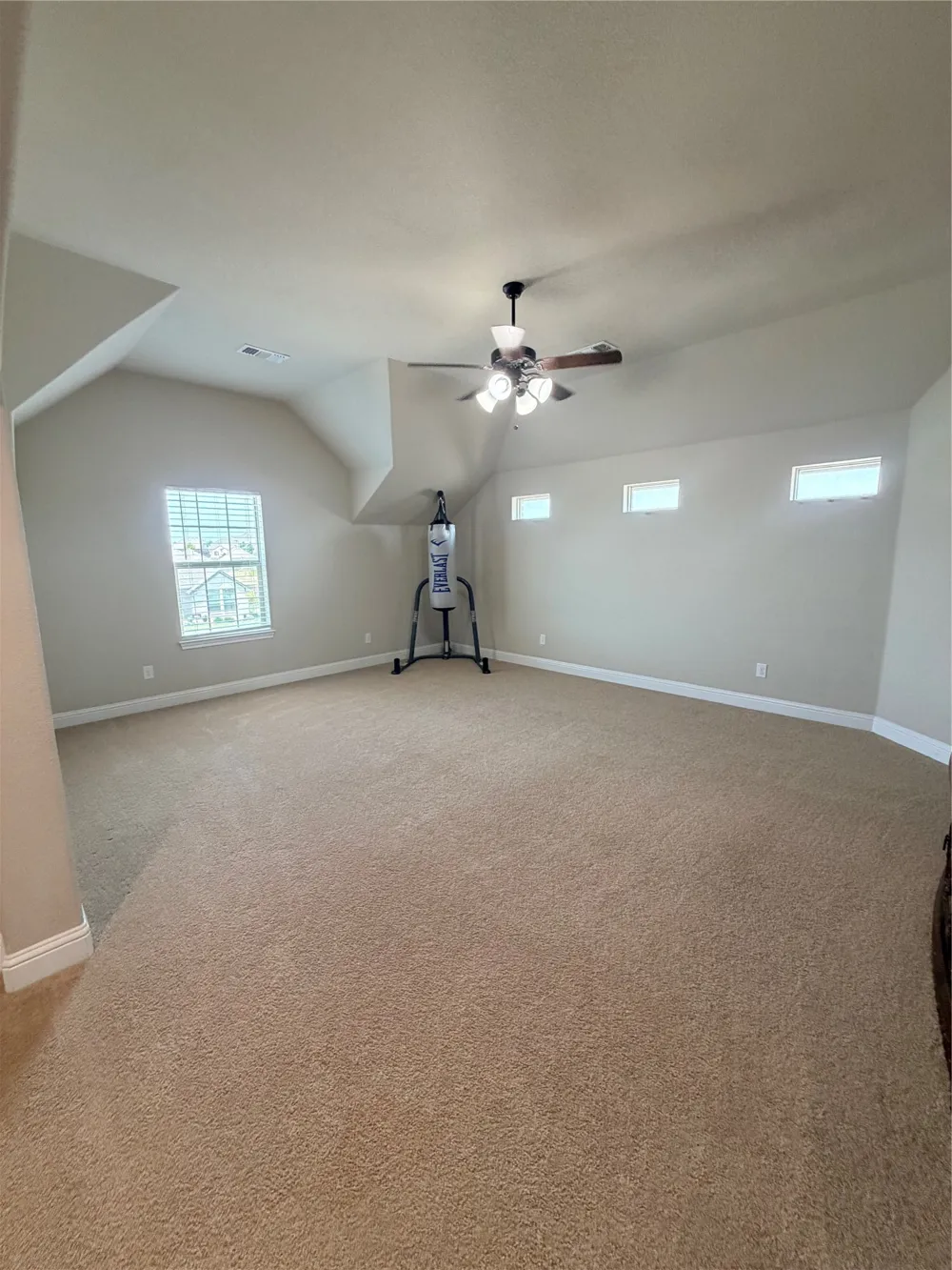 6829 Fire Dance Drive Benbrook, TX 76126