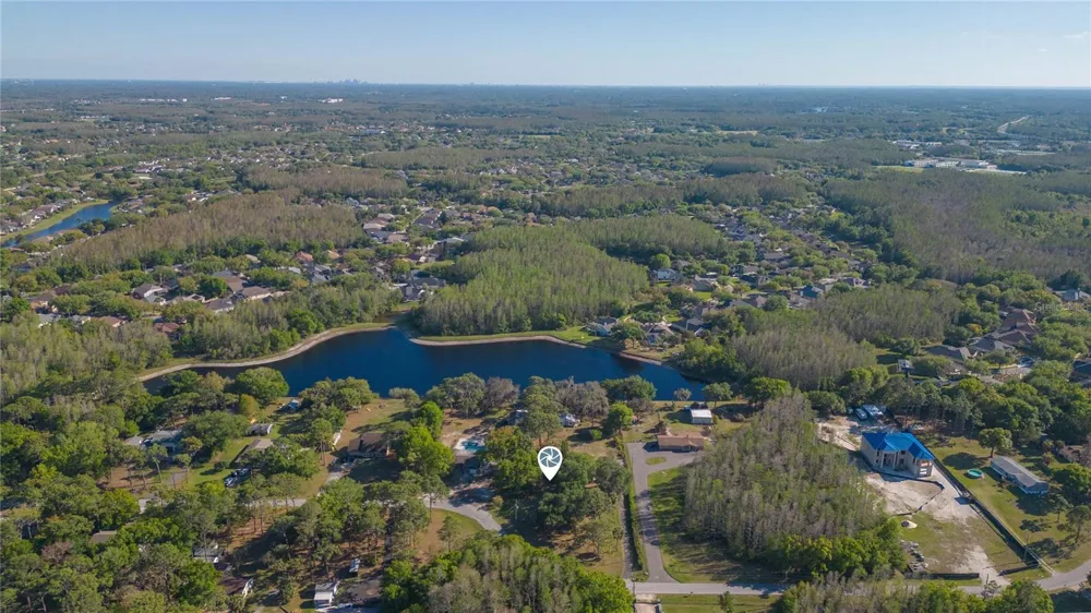 17616 EAGLE LANE Lutz, FL 33558