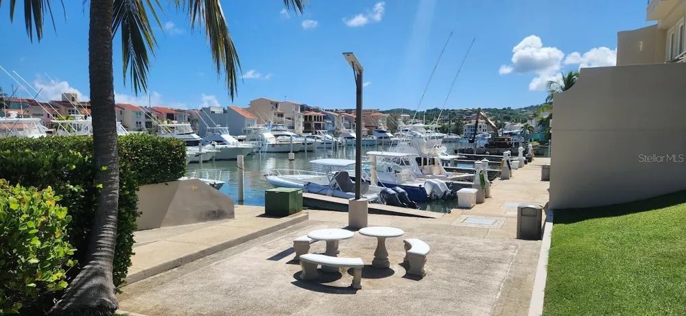 Harbour Drive Street PLAZA DEL PUERTO @ PALMAS DEL MAR DRIVE NE #A-9 Humacao, PR 00791