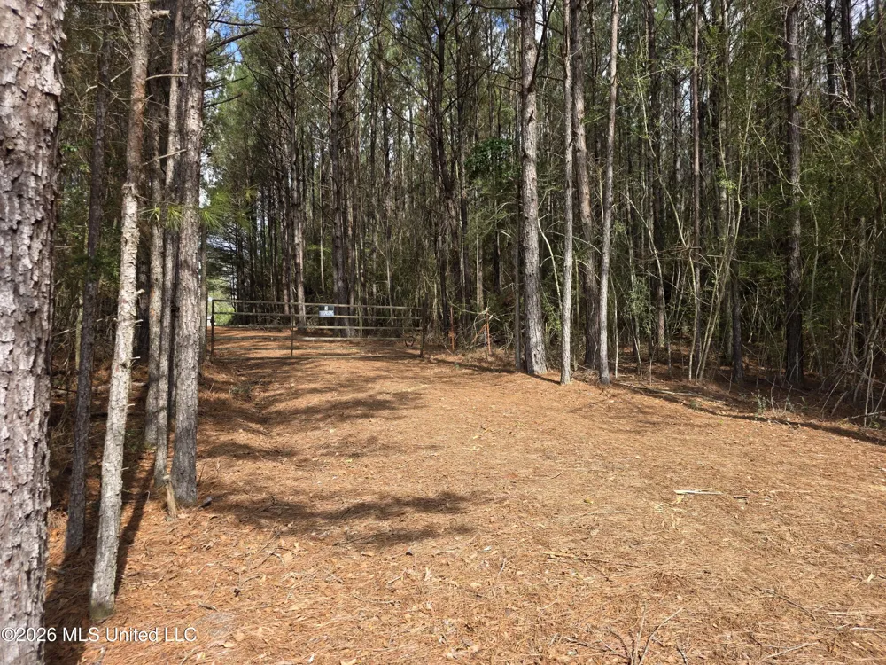 Conerly Drive Mccomb, MS 39648