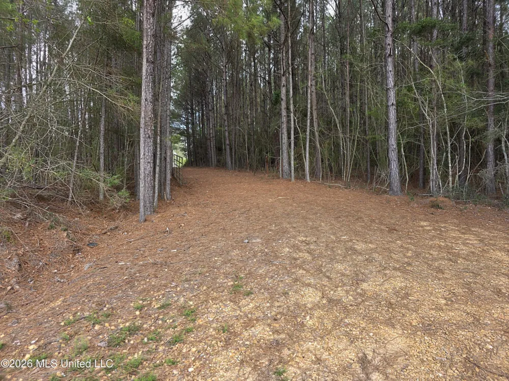 Conerly Drive Mccomb, MS 39648