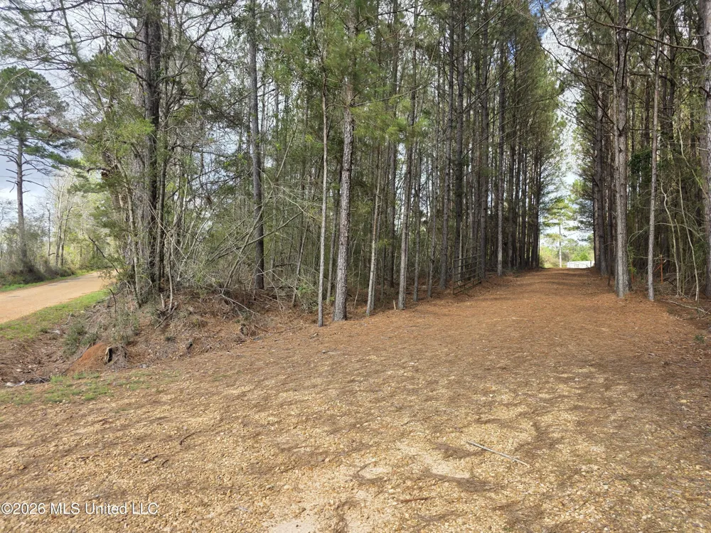 Conerly Drive Mccomb, MS 39648