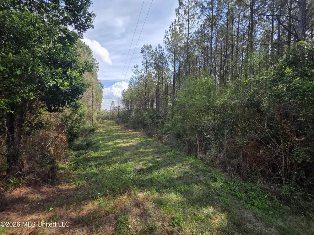 Conerly Drive Mccomb, MS 39648