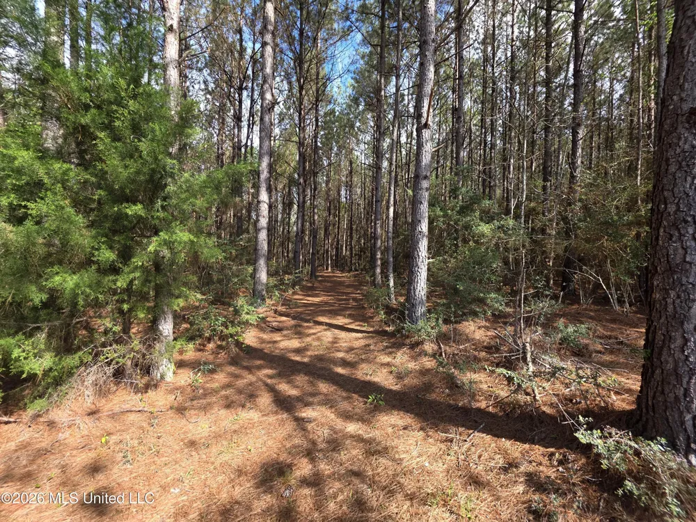 Conerly Drive Mccomb, MS 39648