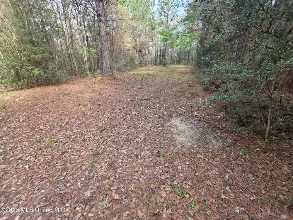 Conerly Drive Mccomb, MS 39648