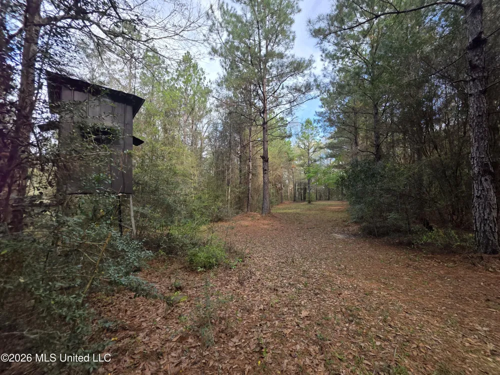 Conerly Drive Mccomb, MS 39648