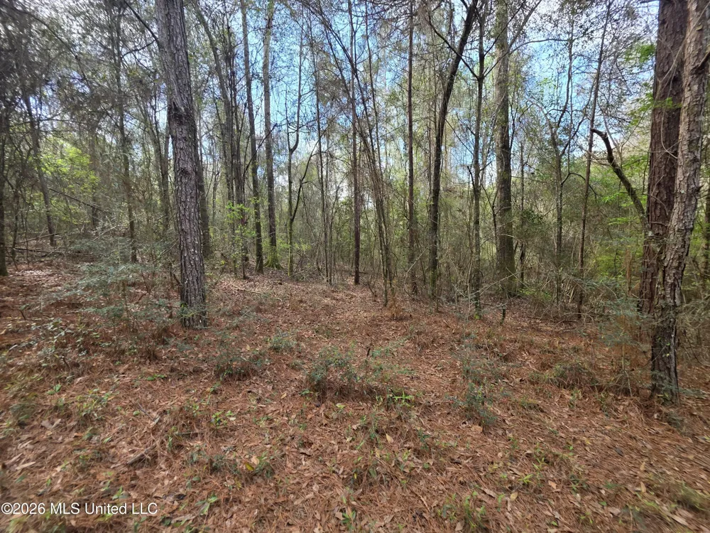 Conerly Drive Mccomb, MS 39648