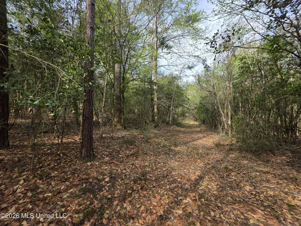 Conerly Drive Mccomb, MS 39648