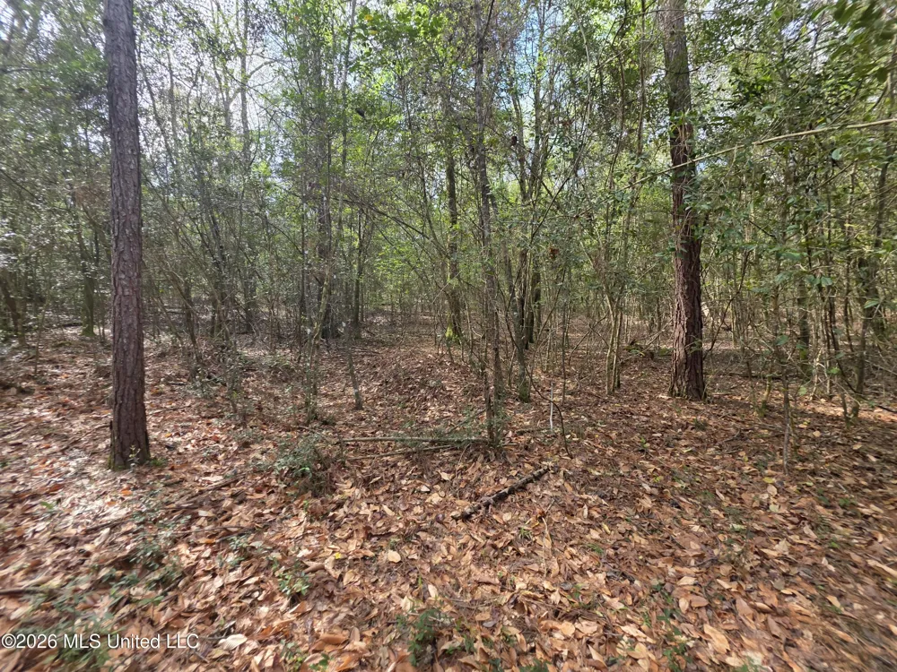 Conerly Drive Mccomb, MS 39648