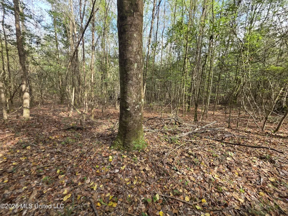 Conerly Drive Mccomb, MS 39648