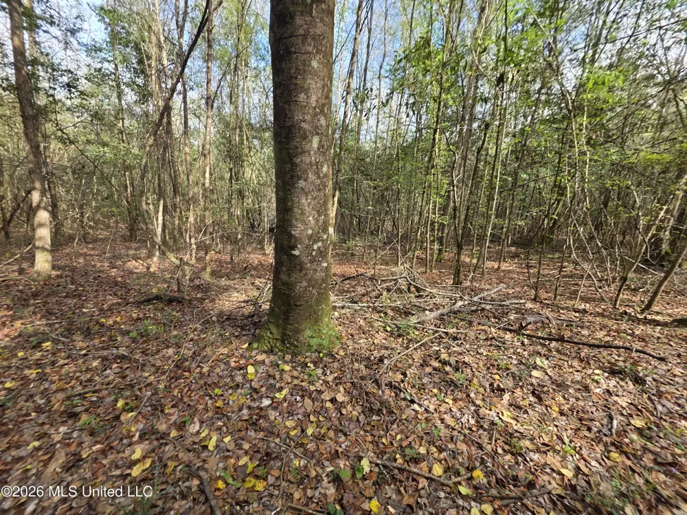 Conerly Drive Mccomb, MS 39648