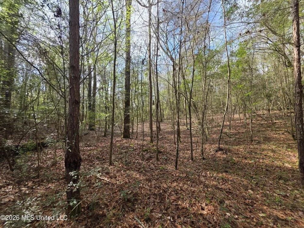 Conerly Drive Mccomb, MS 39648