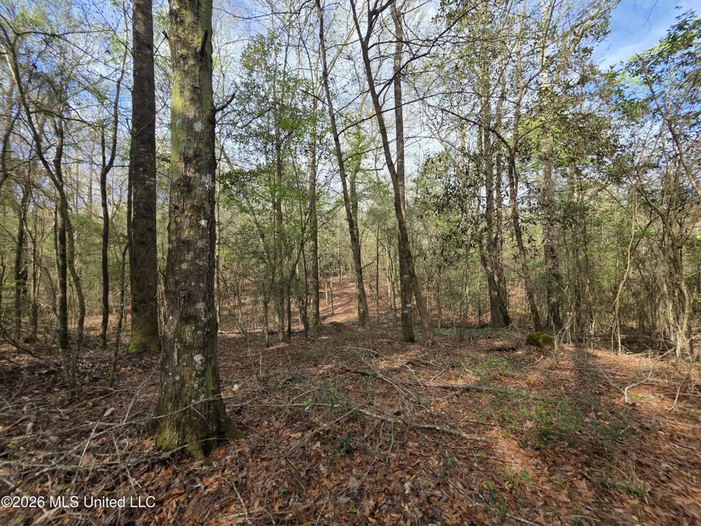 Conerly Drive Mccomb, MS 39648