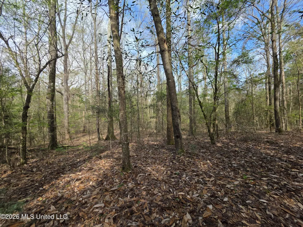 Conerly Drive Mccomb, MS 39648
