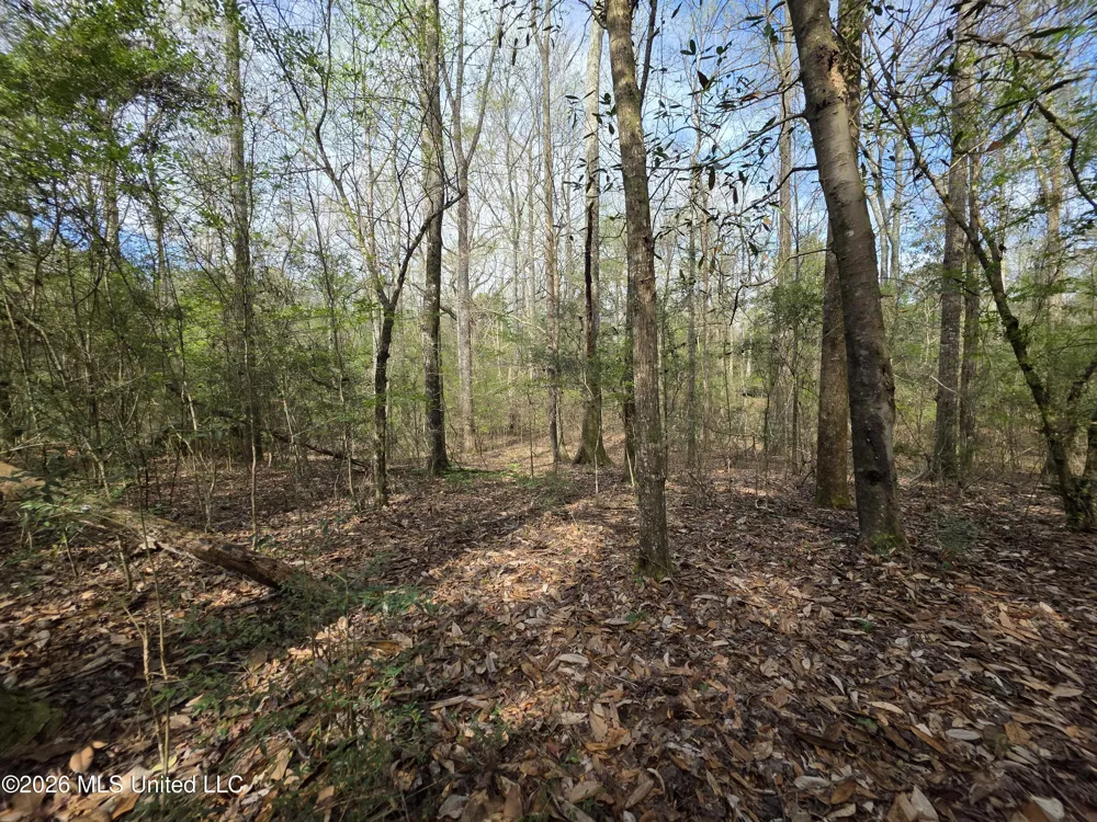 Conerly Drive Mccomb, MS 39648