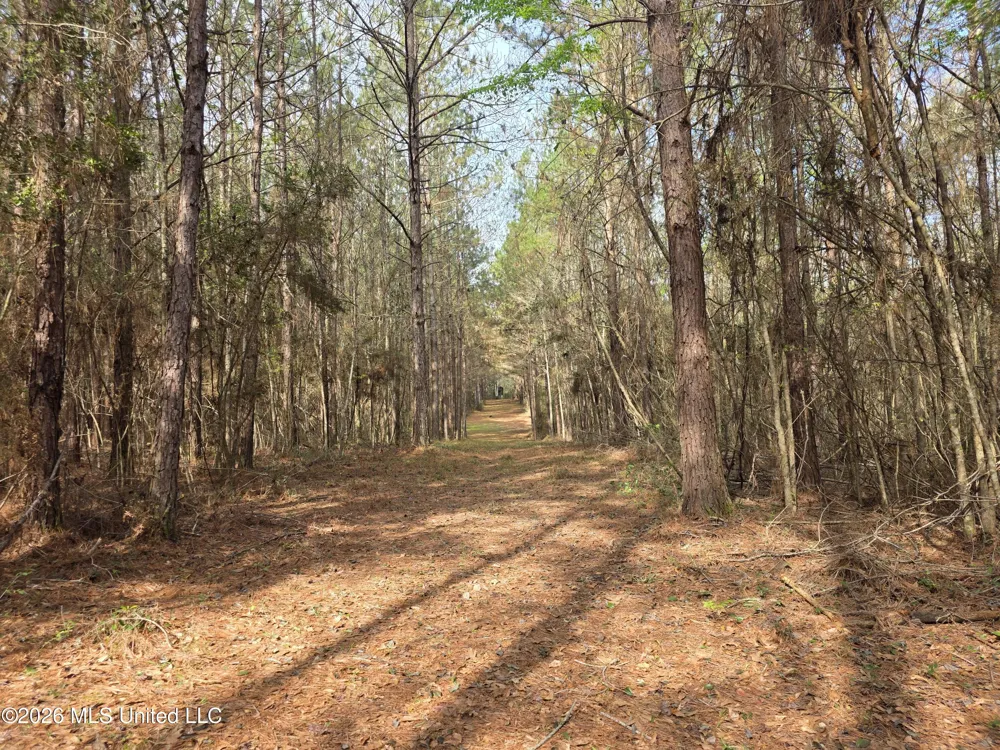Conerly Drive Mccomb, MS 39648