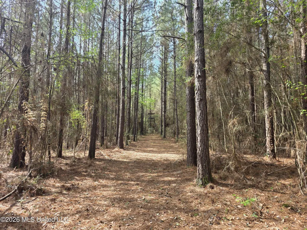 Conerly Drive Mccomb, MS 39648
