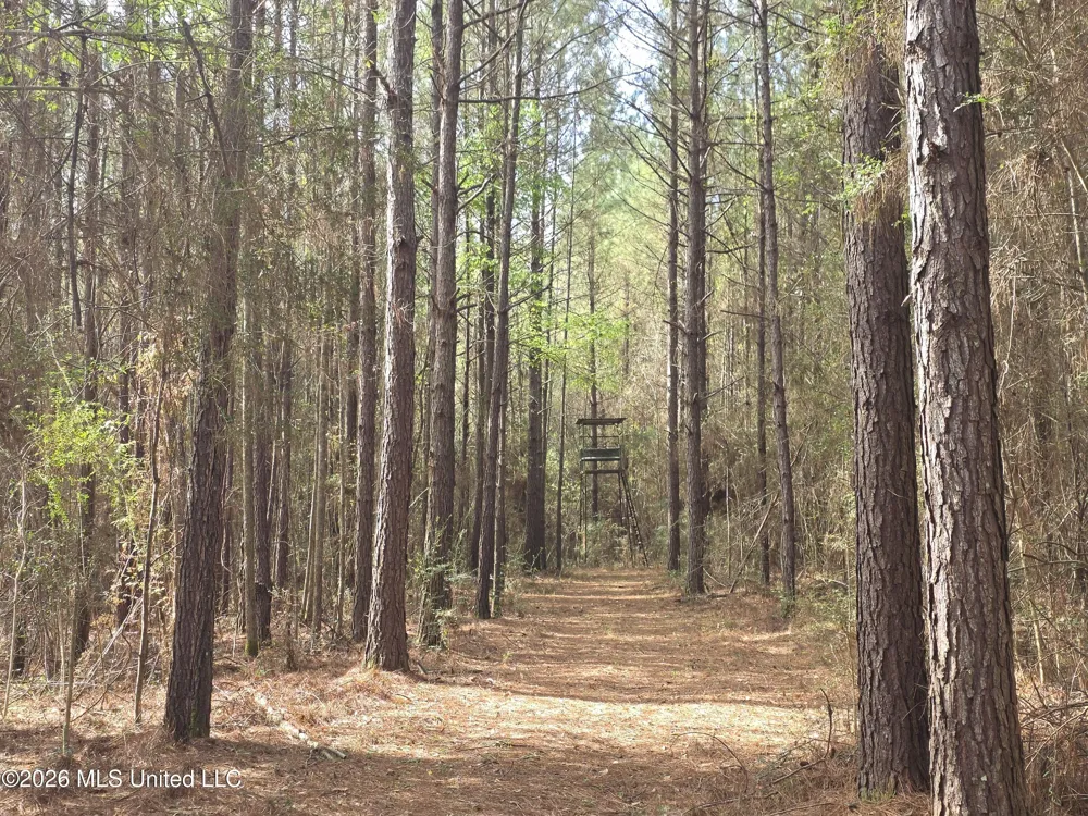 Conerly Drive Mccomb, MS 39648