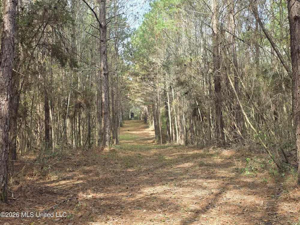 Conerly Drive Mccomb, MS 39648
