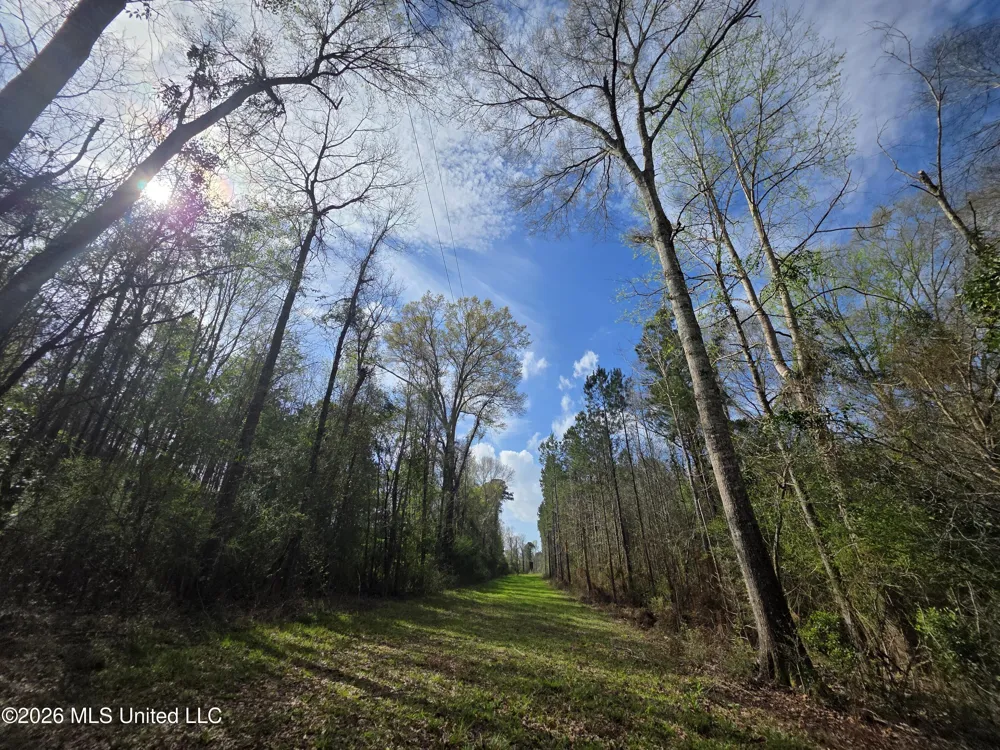 Conerly Drive Mccomb, MS 39648