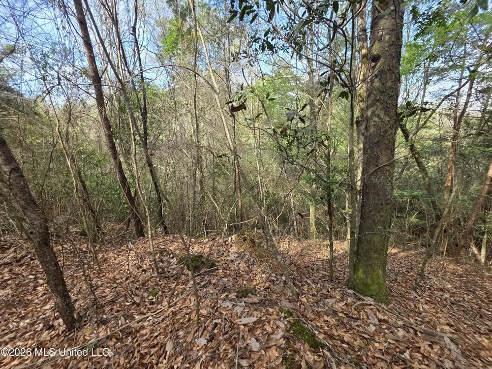 Conerly Drive Mccomb, MS 39648