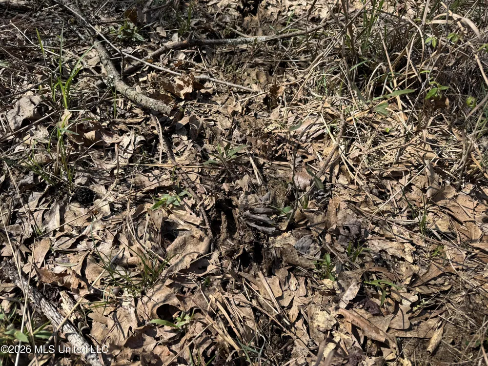 0 Circle Road Lexington, MS 39095