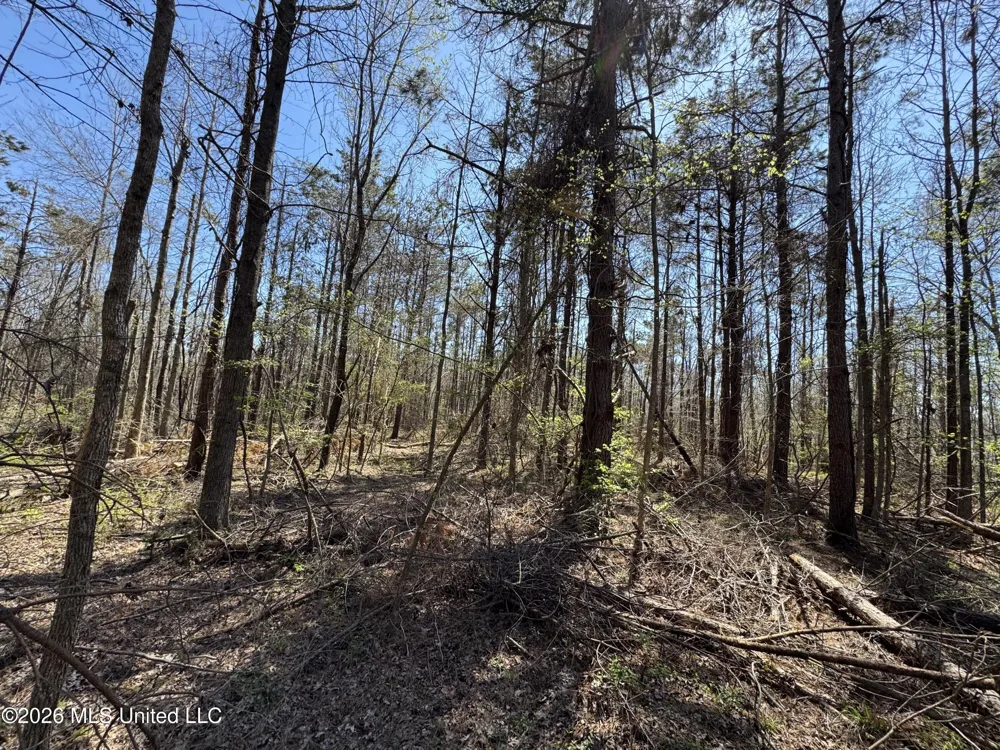 0 Circle Road Lexington, MS 39095