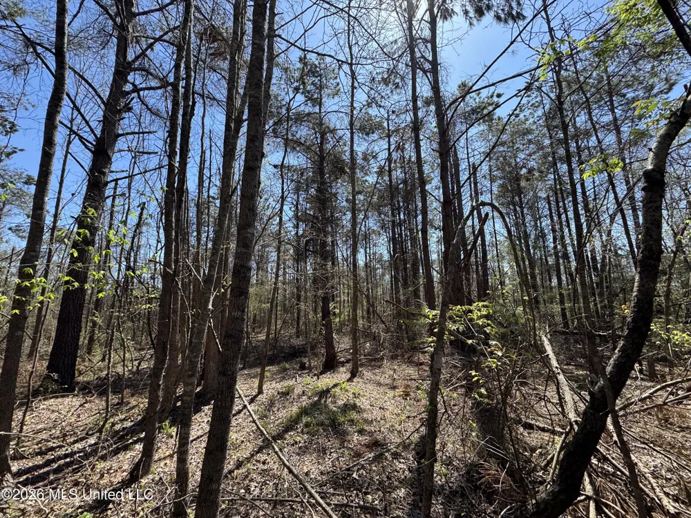 0 Circle Road Lexington, MS 39095